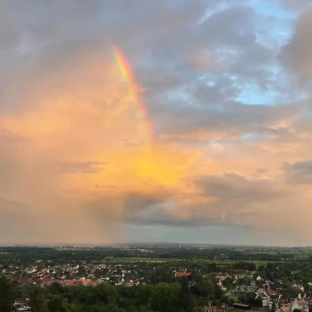 Avec Vue Apartment Obernai